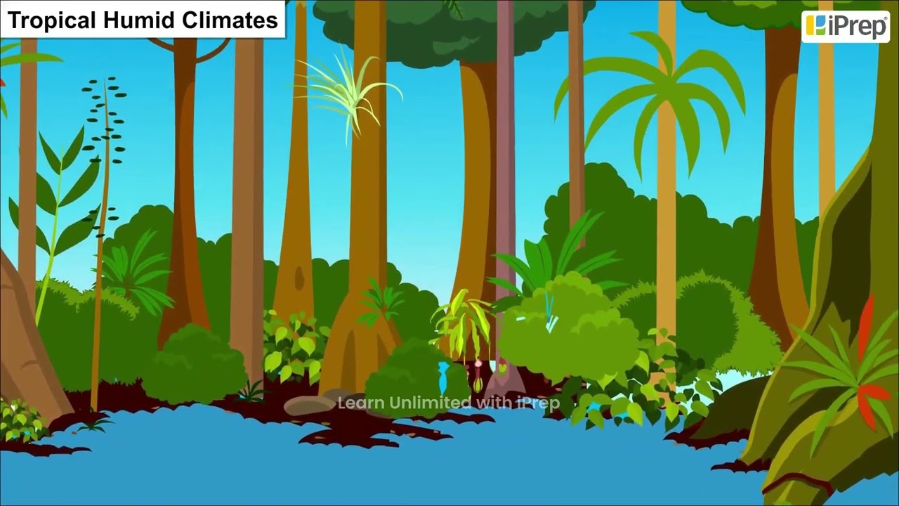 Koeppen's Scheme of Classification | World Climate and Climate Change | Geography | Class 11 | iPrep