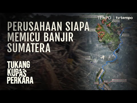 Pembalakan Hutan 31 Perusahaan Pemicu Bencana Sumatera | Tukang Kupas Perkara