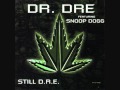 Dr. Dre ft. Snoop Dogg - Still D.R.E, San Andreas ...