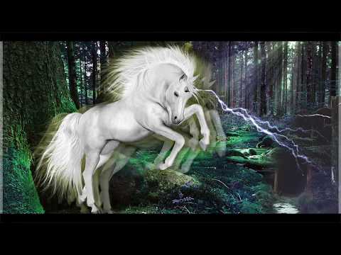 UNICORNIO - GALGUICIE X DRAKU13 X TOM KIDNAP (PROD. SYCONAUTICA )