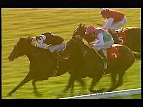 1994 Dewhurst Stakes Pennekamp Includes Replay