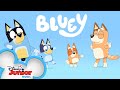 Bluey Official Theme Song Disneyjr