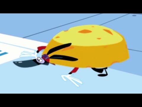 Ratz 🐀 LE RAT-FROMAGE - Compilation en HD