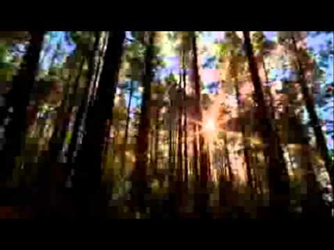 Palavras De Paz video