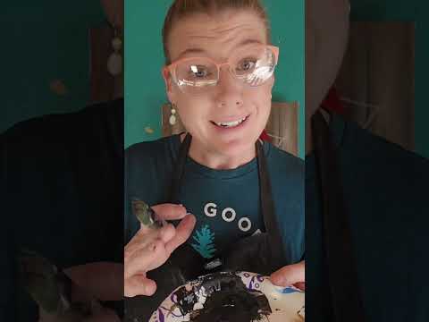 CHRISTMAS COW painting tutorial!  🎄🐮