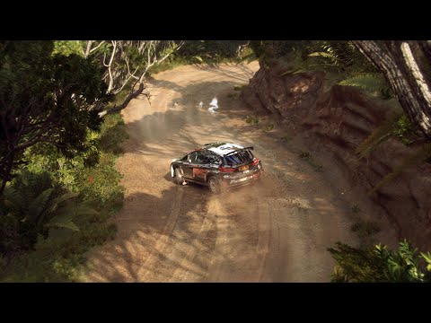 DiRT Rally 2.0 / World Record New Zealand / Ford Fiesta R5 MKII (setup)