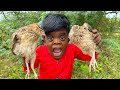 குட்டிபுலி சமைக்கும் சுட்ட காடை கறி Qu