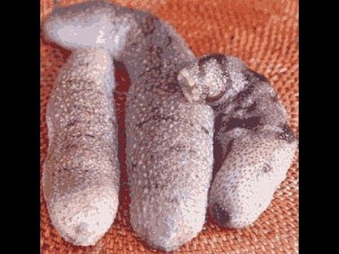 Bagaimana meningkatkan penis Anda dalam kondisi damashnih Memperbaiki untuk potensi untuk pria di apotek