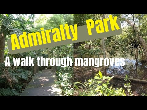 Admiralty Park - A walk through the mangroves