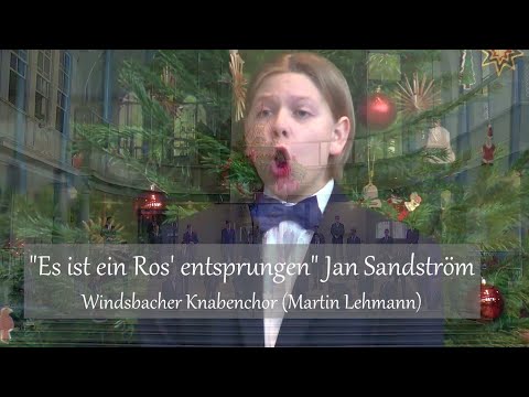 "Es ist ein Ros' entsprungen" Jan Sandström | Windsbacher Knabenchor (Martin Lehmann)