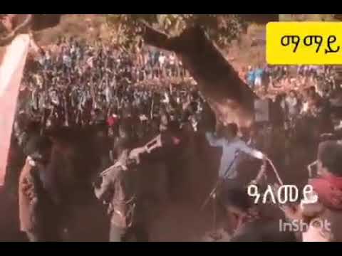 The best tigirigna raya music   Birhanu mache   hodih miyababil song