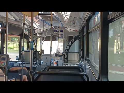 Nice ZF - Busways - 1008 - MAN 18.310/Bustech VST Mark 3[Woongarrah](80 - Tuggerah/Wyong)