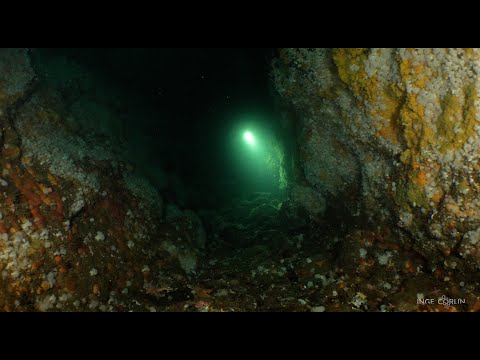 Walls of Life - Sundstraumen - Saltstraumen - Norway