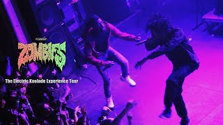 FLATBUSH ZOMBIES - DON&#39;T DO DRUGS KIDS | LIVE IN RALEIGH, NC (2014)