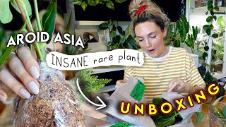 Mind-Blowing Rare Plant Haul 😱 AROID ASIA Houseplant Unboxing