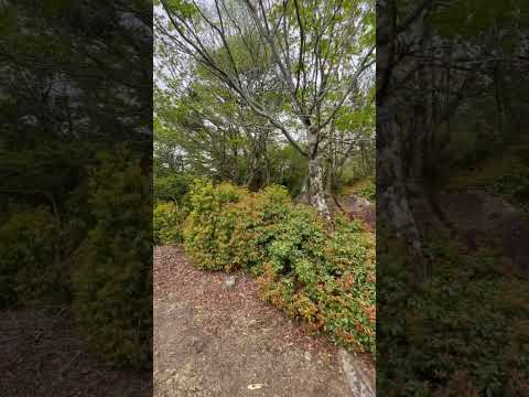 外装カーテンは、空間を装飾しながら保護するのに役立ちます。選び方はこちら！  庭園