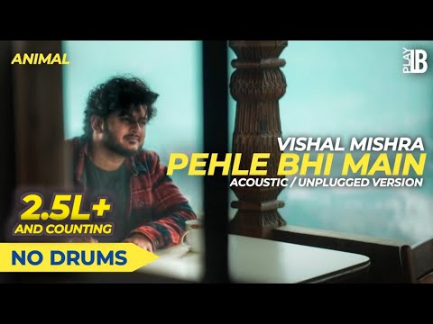 Pehle Bhi Main - Acoustic/Unplugged Version (NO DRUMS) | ANIMAL | Vishal Mishra | Ranbir K, Tripti D