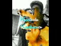 Kaathodu Kaathanen Song Jail Movie Song Love Song Whatsapp Status Tamil Mad Love Status