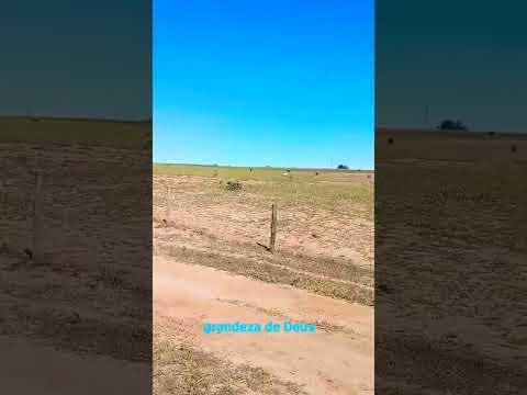 Comunidade 21 de abril na cidade de Veríssimo-MG 🇧🇷💚 foi um projeto maravilhoso em 2022