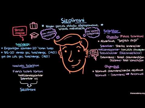 Şizofreni Belirtileri (Psikoloji / Ruh Sağlığı) (Sağlık Bilgisi ve Tıp / Akıl Sağlığı)