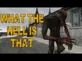 WHAT THE HELL IS THAT!? (DayZ: Breaking Point ...