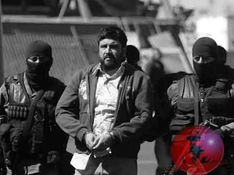 El cumpleaños del mochomo // Roberto Tapia Ft Los Nuevos Rebeldes Ft Los Tierra Blanca