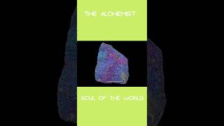 Law Of Attraction | The Alchemist | Soul Of The World  #viralshorts #thealchemist  #lawofattraction