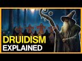 The Truth About The Druids