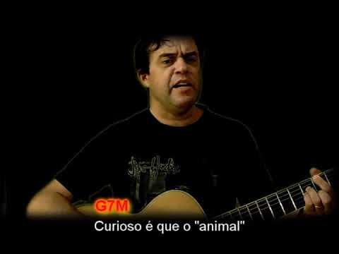 Geringonça video