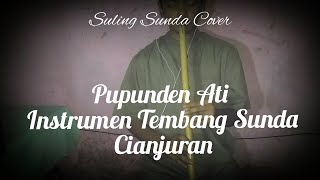 Download lagu Pupunden Ati - Instrument Tembang Sunda Cianjuran (Suling Sunda Cover) mp3 Download lagu Pupunden Ati - Instrument Tembang Sunda Cianjuran (Suling Sunda Cover) mp3