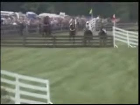 Queen's Cup Steeplechase for PBS