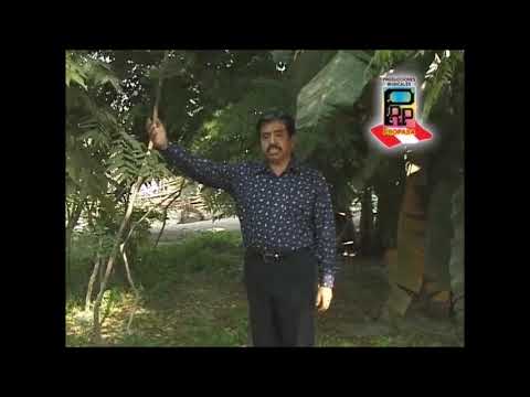 Trovador Ancashino..Valle del Rio Santa..Huayno