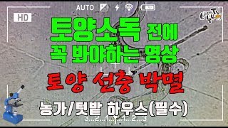 뿌리혹병 선충 박테리아 토양소독 방선균으로 선충 제거 (키토산)