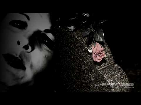 DJ Happy Vibes feat  Jazzmin   Man sollte nie