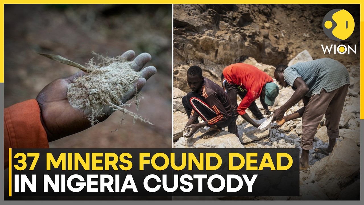 Nigeria: 37 Miners Found Dead In Nigeria Custody, Protesters Take To Streets | WION