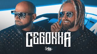 Cegonha Lyrics English Translation
