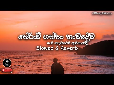 🎶 තේරුම් ගත්තා හැමදේම | #Therum_Gaththa_Hamadema | Slowed & Reverb | @TSMusic | #VideoWassa