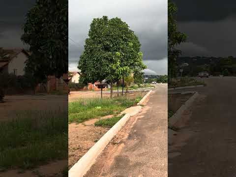 Wanderlândia Tocantins #brasil #ultimasnoticia #humor