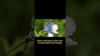 equivalent exchange   - Full Metal Alchemist