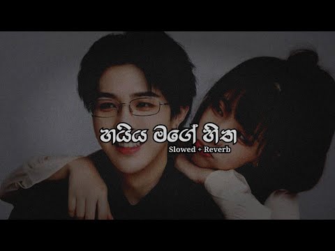 Haiya Mage Hitha | හයිය මගේ හිත | Slowed + Reverb