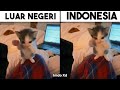Perbedaan Kucing Kicau Mania Luar Negeri Vs Indonesia