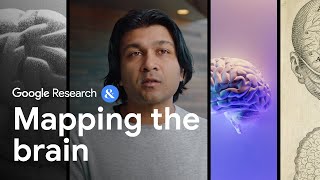 Mapping the Brain