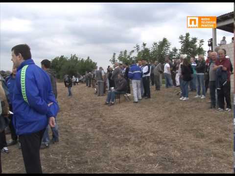 TV Pančevo - Grla iz cele Srbije na kasačkim trkama u Pančevu
