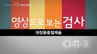 대장용종절제술 미리보기