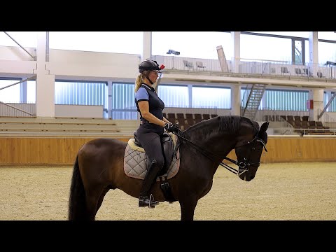 Minden napra lovaskultúra - Ülés hibák, helyes ülés (Dallos Gyula) (56. rész)