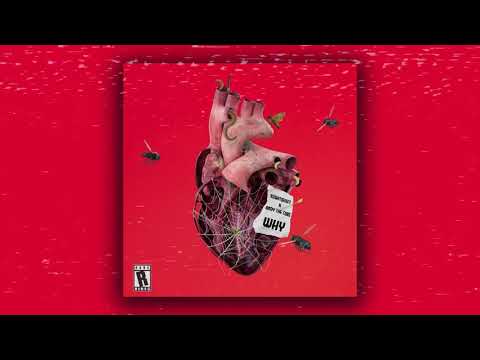 Nightshift & Andy The Core - WHY [MID TEMPO HARDCORE]