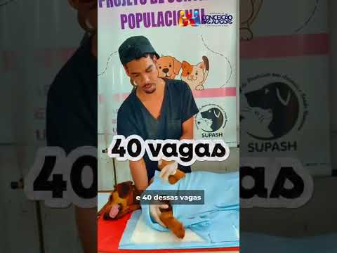 Conceição das Alagoas avança em saúde pública com novo mutirão de castração animal