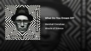 What Do You Dream Of?