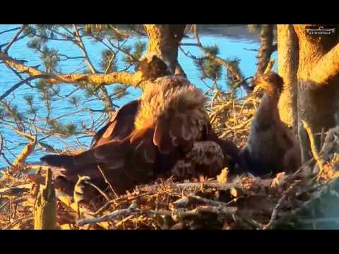 Norway WTE 6-16-16 12am "All Is Well"