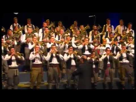 100 STO SRPSKIH TRUBA-ZUTE DUNJE